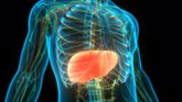 Foto: Investigadores españoles identifican nuevas causas congénitas de daño hepático