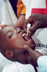 Foto: Un programa piloto liderado por la OMS permite vacunar contra la malaria a más de un millón de niños en África