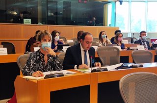 El secretario general de Medio Ambiente, Agua y Cambio Climático de la Consejería de Agricultura, Sergio Arjona, este jueves ante la Comisión de Peticiones del Parlamento Europeo.