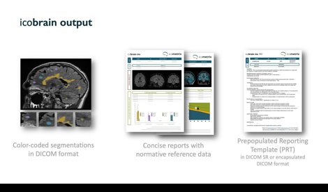 Comunicados Internacional