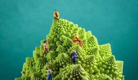 Comunicados Internacional