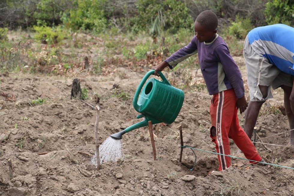 Escuela de campo para agricultores en Angola