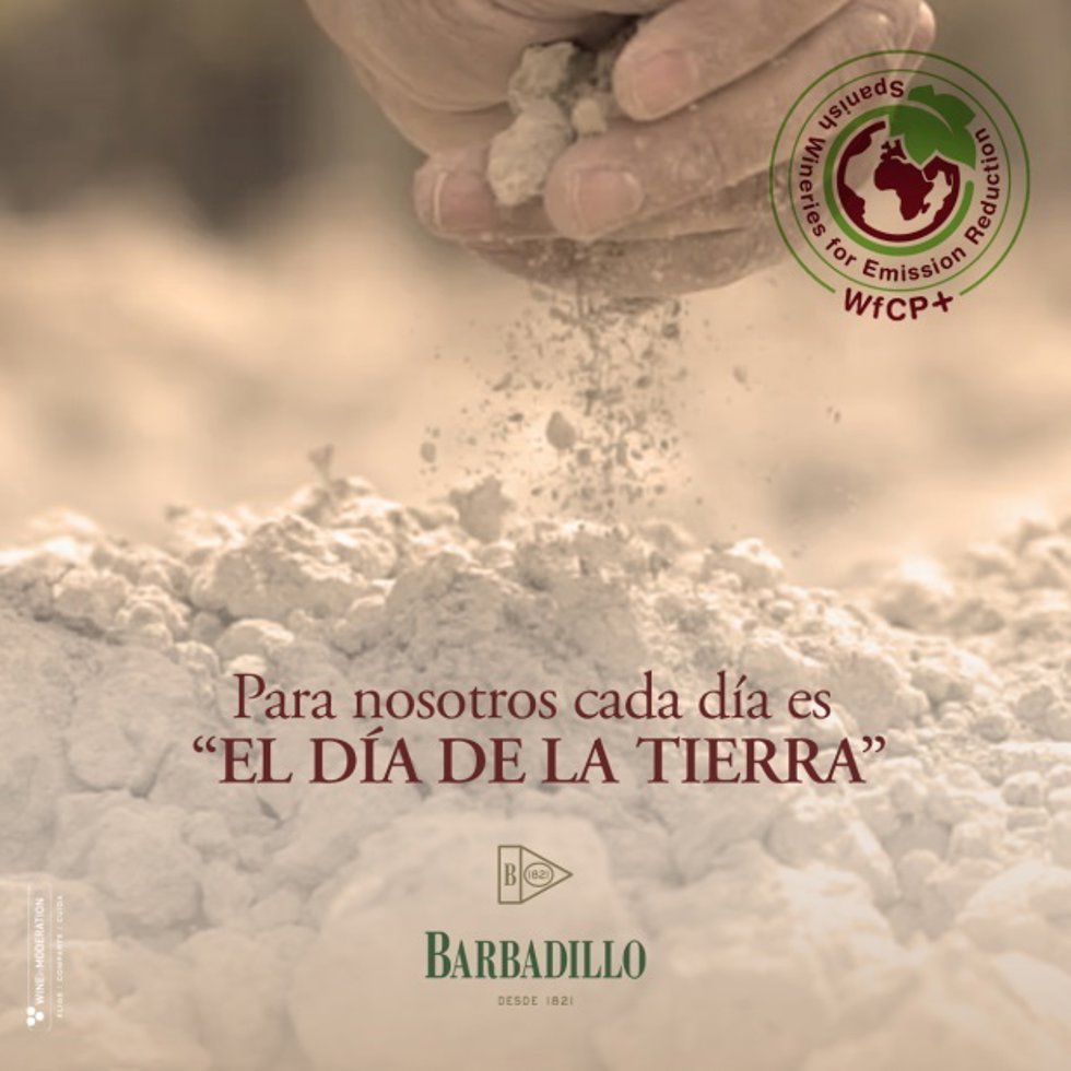 Barbadillo