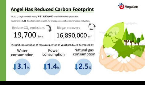 Comunicados Internacional
