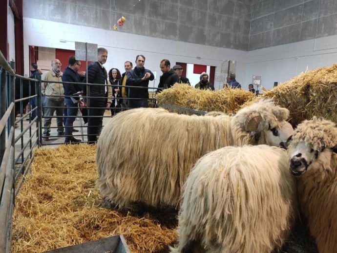 El coordinador general de IU Andalucía, Toni Valero (al fondo), visita la Feria Agroganadera y Agroalimentaria de Los Pedroches, en Pozoblanco (Córdoba).