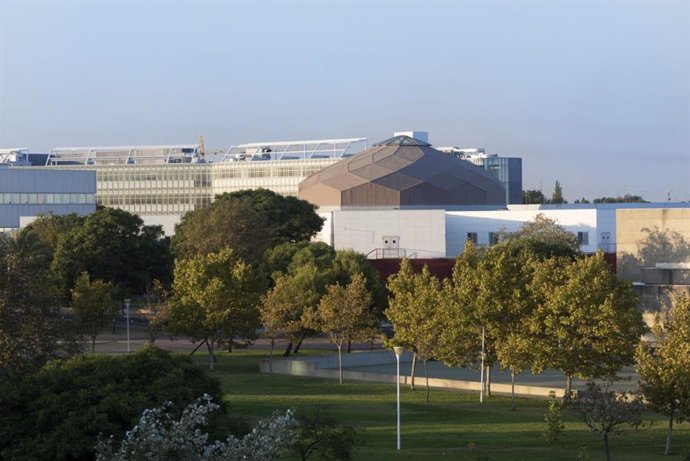 Archivo - Campus del Carmen de la Universidad de Huelva. Archivo. 