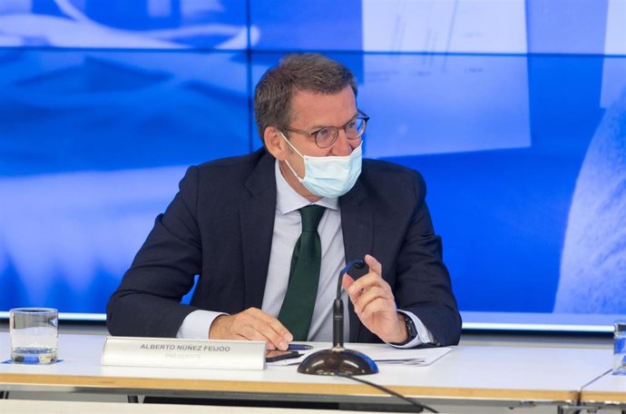 El líder del PP, Alberto Núñez Feijóo.