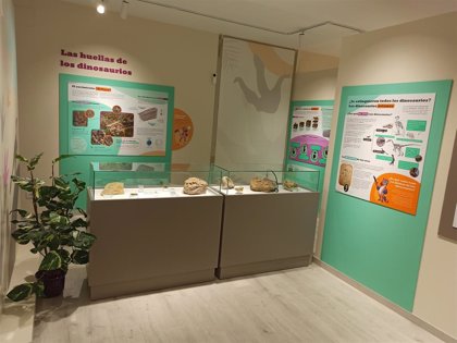 El primer museo dedicado a los dinosaurios de la provincia de Zaragoza abre  sus puertas en Villanueva de Huerva