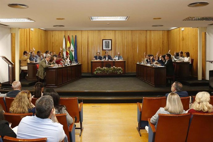 Archivo - El pleno de Mairena