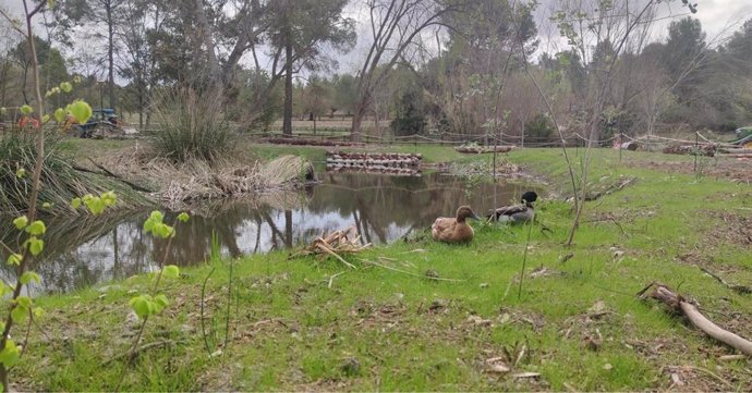 Recuperan una zona húmeda en San Vicente de Llíria (Valencia) y plantean convertirla en un "albergue de biodiversidad"