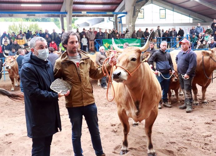 El consejero de Medio Rural y Cohesión Territorial, Alejandro Calvo, entrega a Antonio Fernández el premio a la Ternera Novilla tipo culón gran campeona.