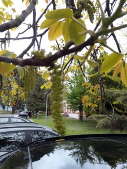 Jardín del Hospital Universitario de Navarra