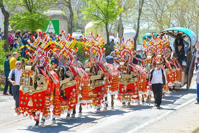 Archivo - Romería de la Virgen de las Viñas de Tomelloso.
