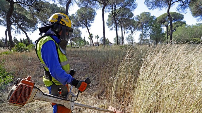 La Junta destaca los 85 millones de euros que destina a prevenir incendios dentro del Plan Infoca.
