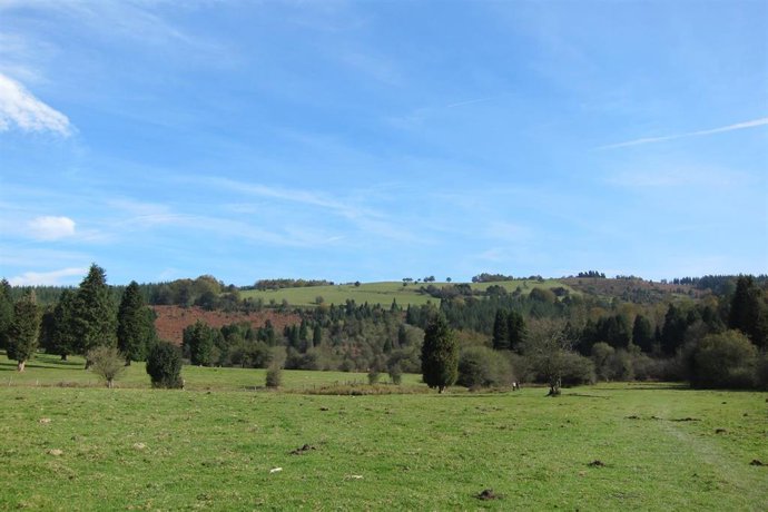 Archivo - Cielo soleado. Archivo.