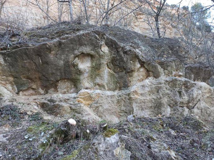 El nuevo yacimiento con huellas fósiles de dinosaurios