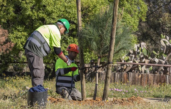 El Ayuntamiento refuerza la cobertura vegetal del Parque Moret con la Edusi.