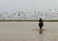 Científicos europeos alertan de que el plan de ampliación de regadíos supone un "riesgo extremo" para Doñana