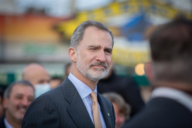 Imatge d'arxiu del rei Felip VI