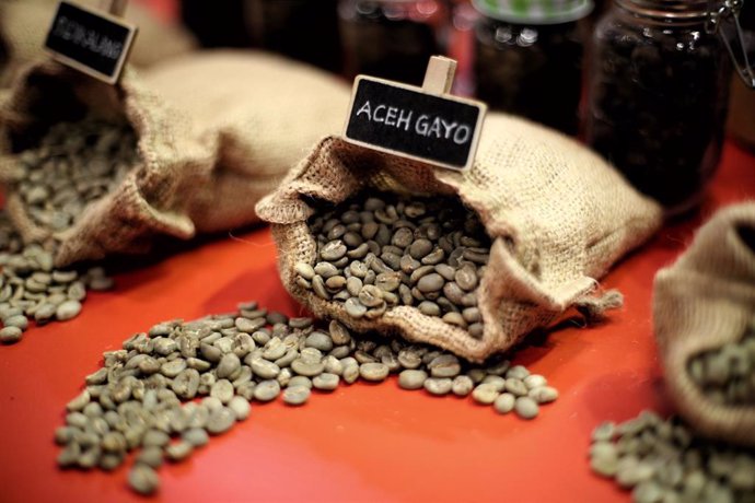 Archivo - Muestras de granos de café 
