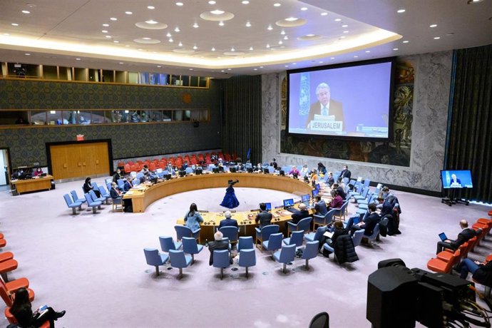 Reunión del Consejo de Seguridad de la ONU