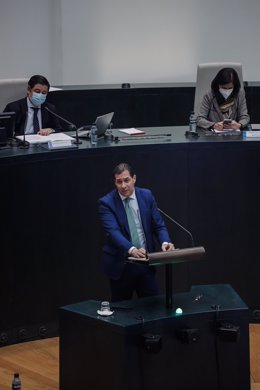 El concejal de Vox, Pedro Fernández, interviene en una sesión plenaria en el Ayuntamiento de Madrid, en el Palacio de Cibeles 