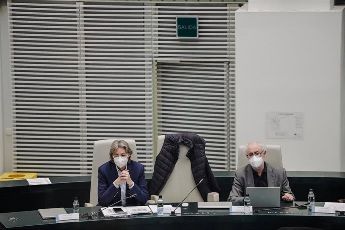 Archivo - La concejala de Recupera Madrid Marta Higueras, y el tesorero del Grupo Mixto en el Ayuntamiento de Madrid, Luis Cueto 