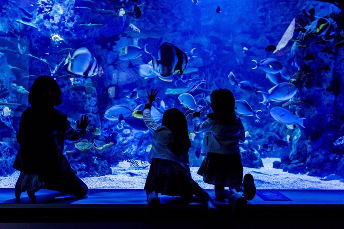 Atlantis Aquarium en intu Xanadú