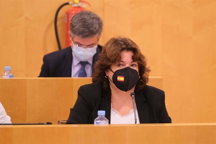 La portavoz del PP en la Diputación de Sevilla, María Eugenia Moreno.