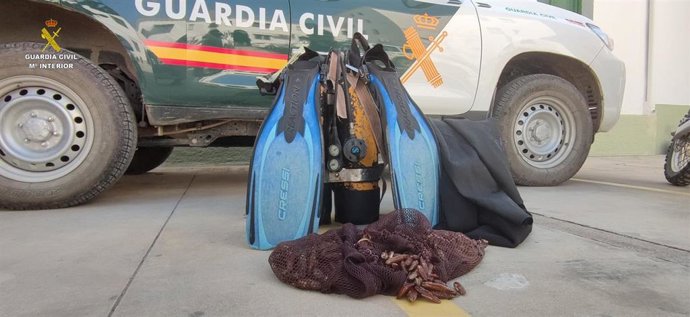 Bolsa con los dátiles de mar aprehendidos