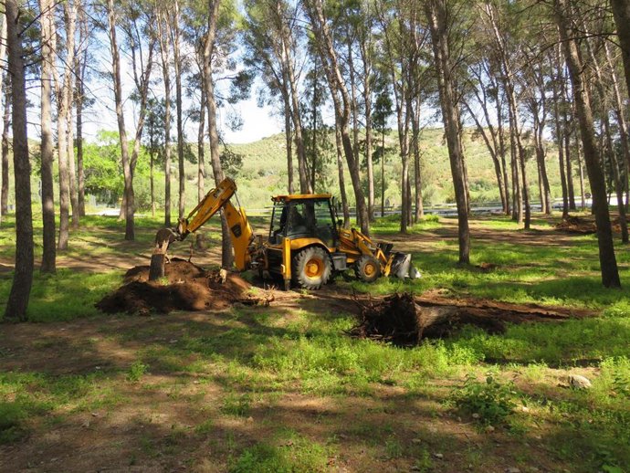 Actuaciones que está acometiendo el Ayuntamiento de Morón para recuperar los Pinares de Guadaíra como zona de recreo.