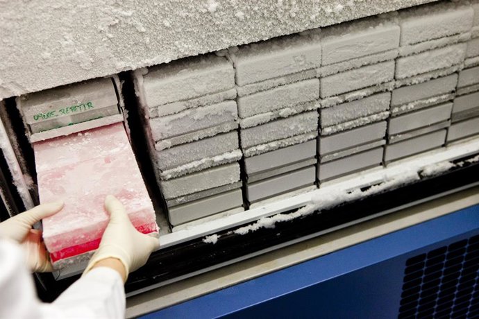 Archivo - Curso de 'Buena Práctica Clínica'.