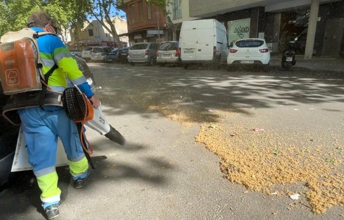Archivo - Emaya reestructura sus servicios de limpieza para hacer frente a la acumulación de polen en las calles de la ciudad.