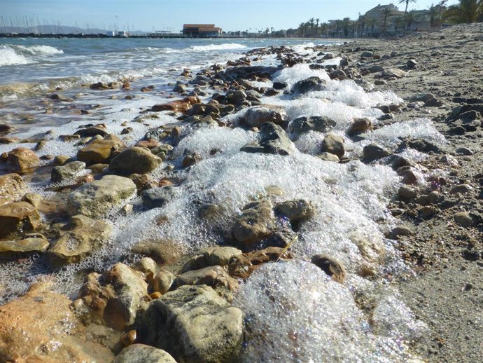 El IEO alerta del riesgo de un nuevo episodio de anoxia en el Mar Menor por el estado de  eutrofización de la laguna