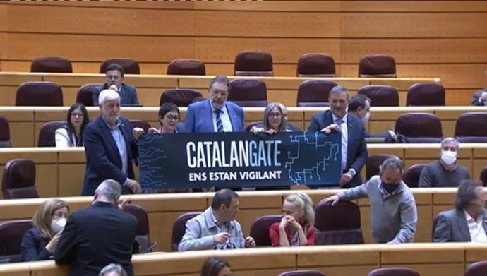 Los senadores de Junts muestran un cartel de 'Catalán Gate, nos están vigilando'