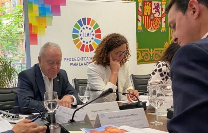 La presidenta del Consell de Mallorca, Catalina Cladera, en la reunión de la subcomisión permanente de la Comisión de diputaciones, cabildos y consells insulares en Madrid.