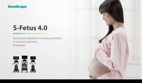 Comunicados Internacional