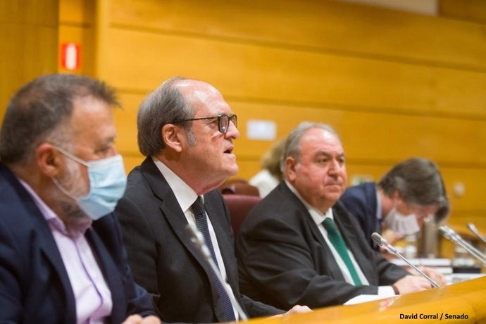 El Defensor del Pueblo, Ángel Gabilondo, en el Senado.