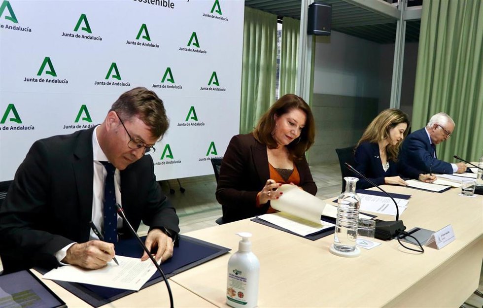 Acuerdo marco para impulsar la I+D+i en el cultivo del algodón en el campo andaluz