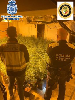 Imatge de dos agents de la Policia Nacional i de la Policia Local de Begues (Barcelona)
