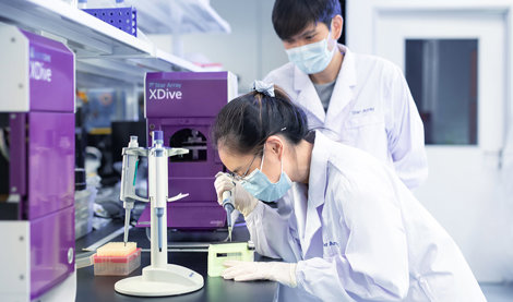 Comunicados Internacional