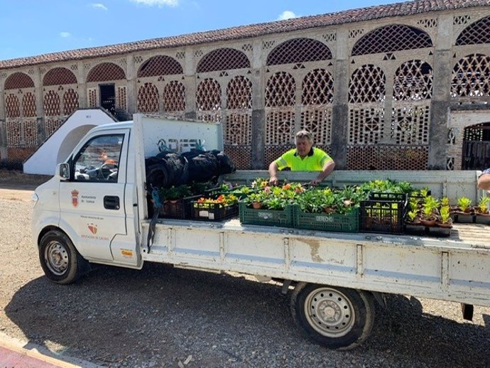 Comienza el reparto de plantas del vivero de la Diputación de Cáceres para embellecer 158 municipios esta temporada