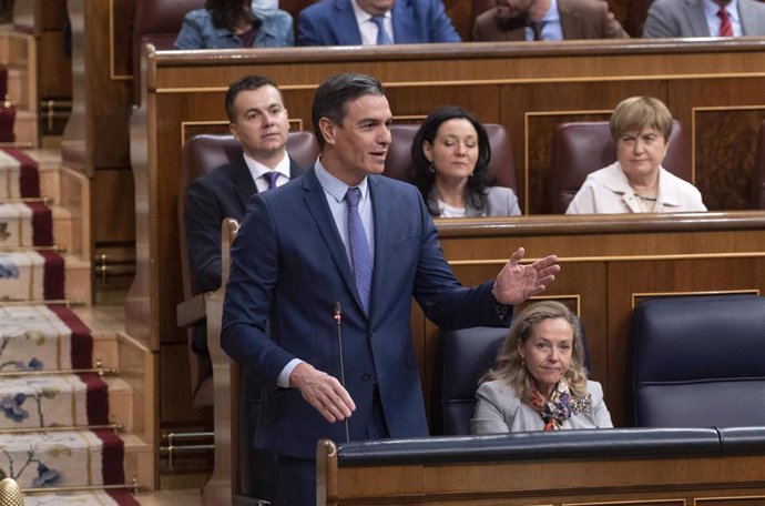 El presidente del Gobierno, Pedro Sánchez, interviene en una sesión plenaria, en el Congreso de los Diputados