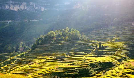 Comunicados Internacional