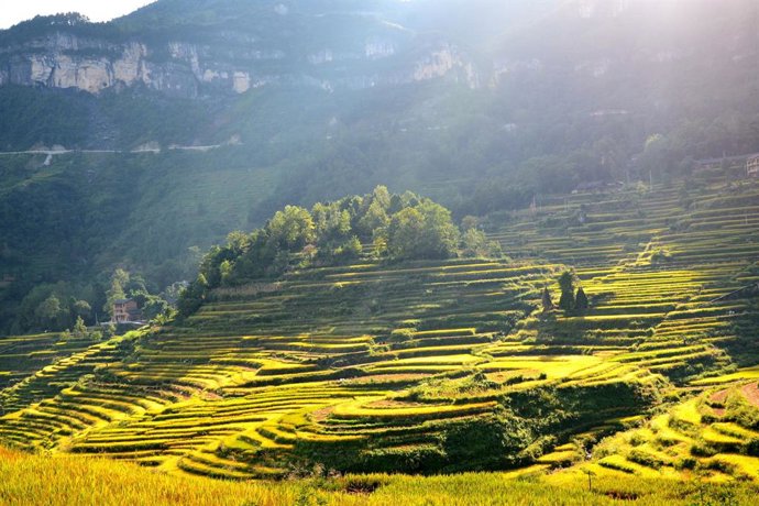 Rural reconstruction of terraces in Hejiayan Village.