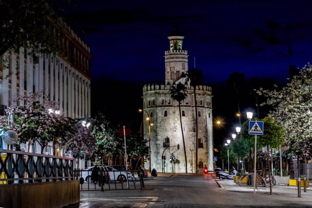 Vista nocturna Torre del Oro de Sevilla