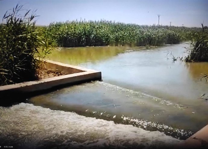Imagen de la Rambla del Albujón el 24 de abril de 2022 sacada del Canal Mar Menor de la CARM que monitoriza a tiempo real el caudal que vierte la rambla a la laguna salada