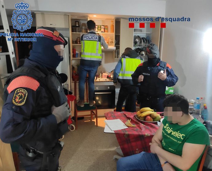 L'escorcoll en un domicili d'un dels presumptes delinqüents