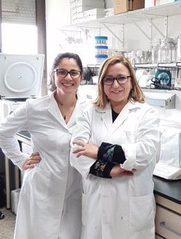 Isabel Quirós González, investigadora del Instituto Universitario de Oncología del Principado de Asturias, y Rosa M. Sainz, del Departamento de Morfología y Biología Celular de la Universidad de Oviedo.