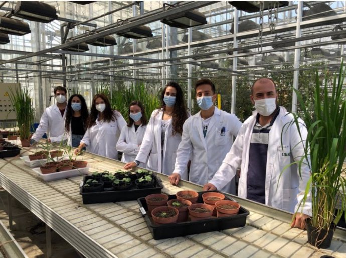 El equipo de investigación del IBVF / Foto: Vicente Mariscal Romero.